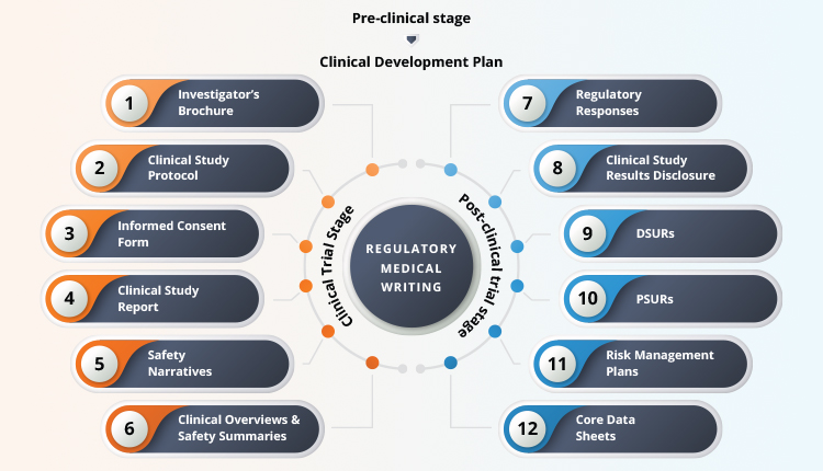 Regulatory Medical Writing Through Drug Development